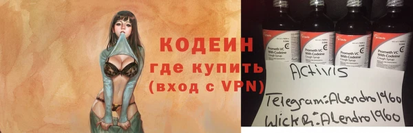 стафф Осинники