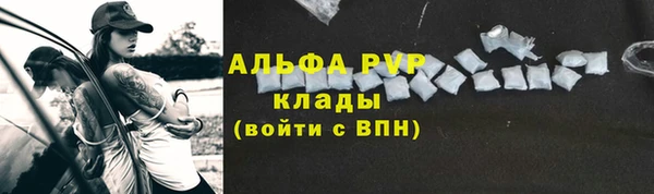 тгк Осташков