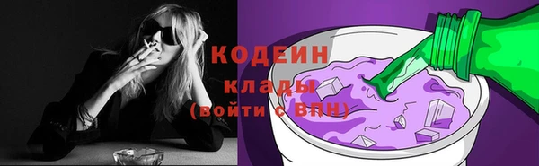 стафф Осинники