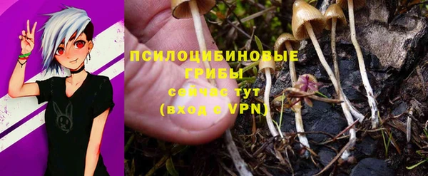 стафф Осинники
