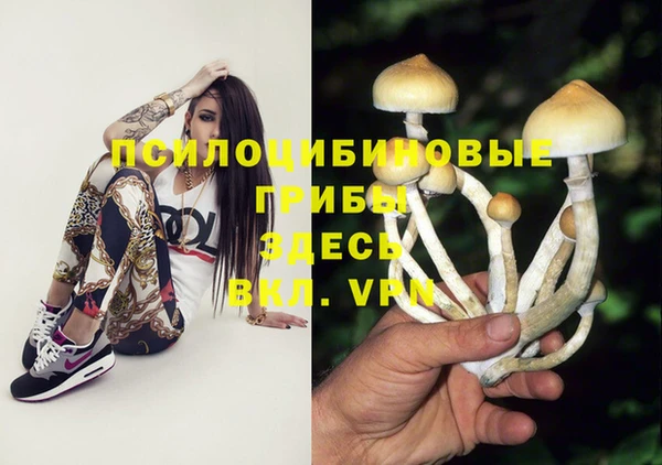 стафф Остров