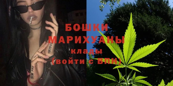стафф Осинники