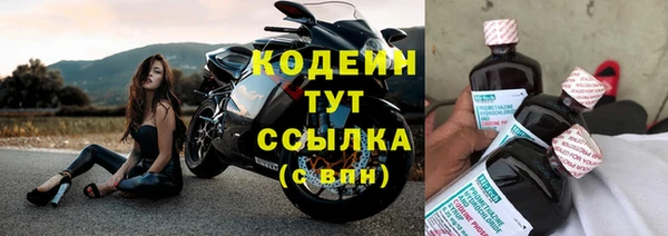 стафф Осинники